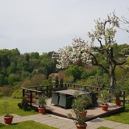Pensiunea Toscana Braşov Exteriör bild